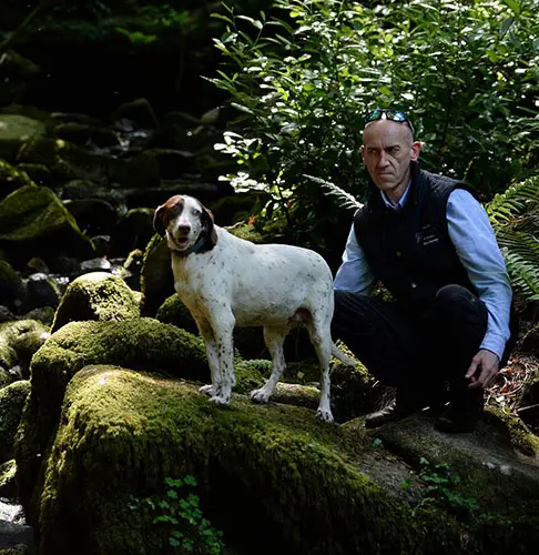 Search Detection Dog